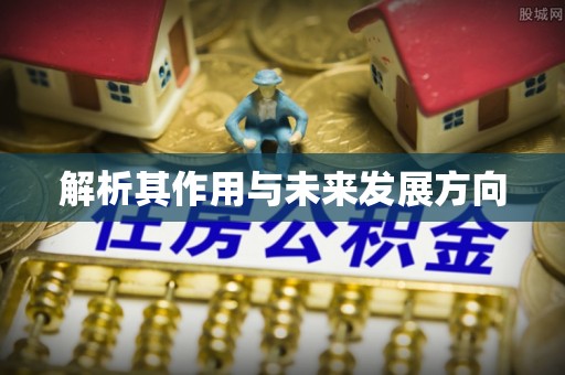 五寨解析其作用与未来发展方向