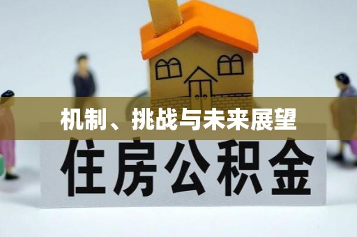 五寨机制、挑战与未来展望