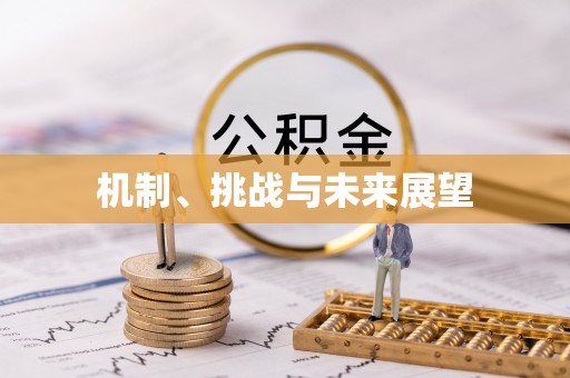 五寨机制、挑战与未来展望